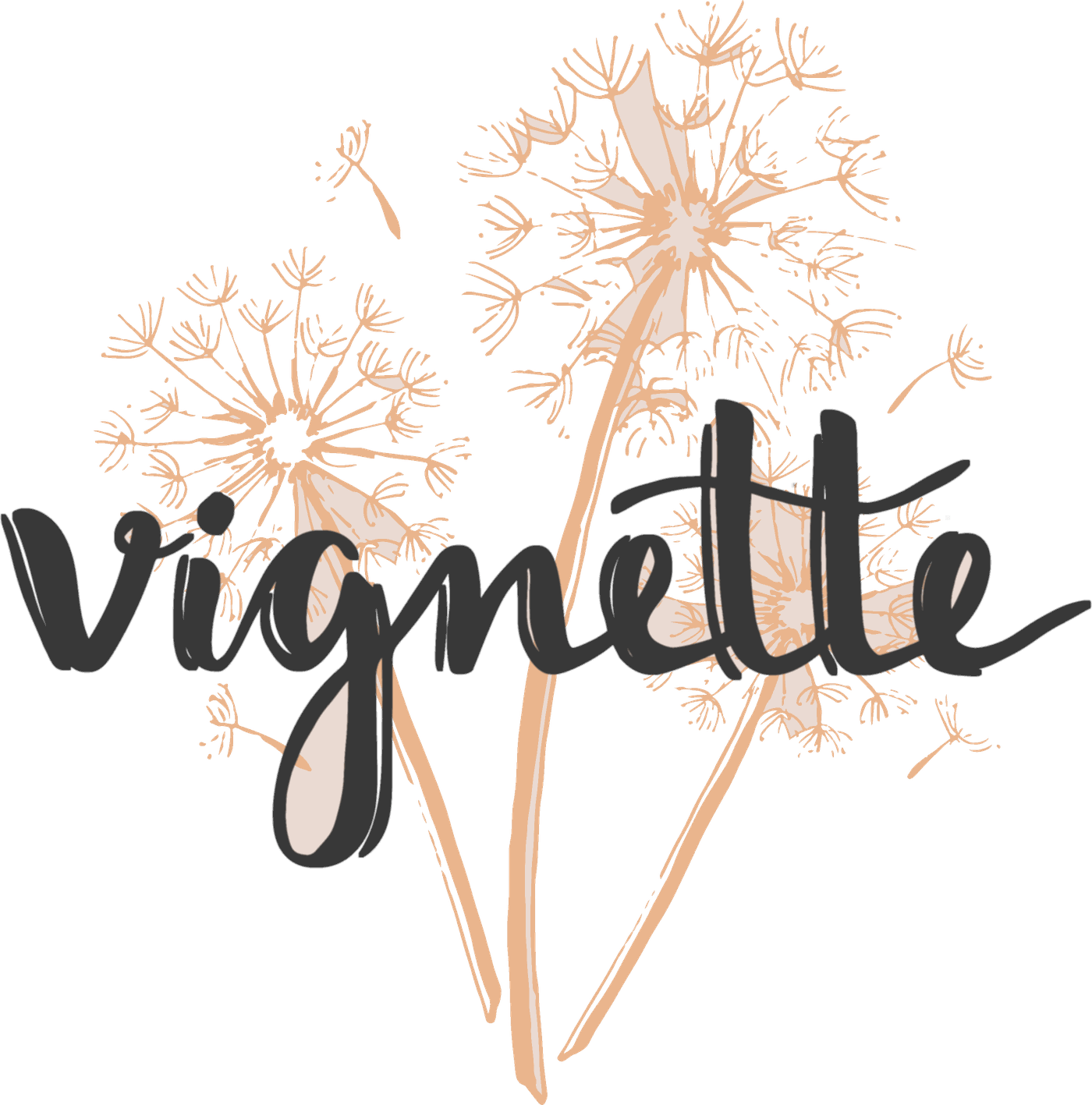 Vignette